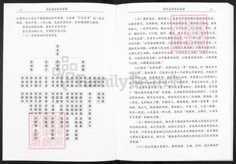 江苏省盐城市建湖县钟庄街道苏氏武功堂族谱-苏氏金堂血亲家谱.pdf电子版预览图5