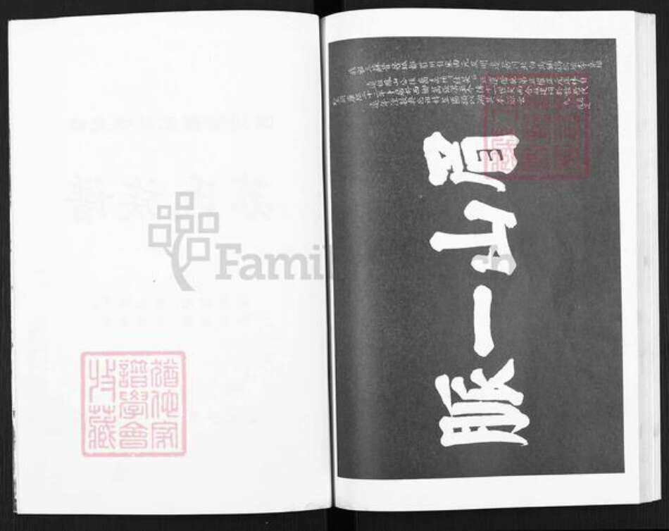 四川省南充市西充县鸣龙镇苏氏族谱-四川省西充县鸣龙镇苏氏族谱.pdf电子版预览图2