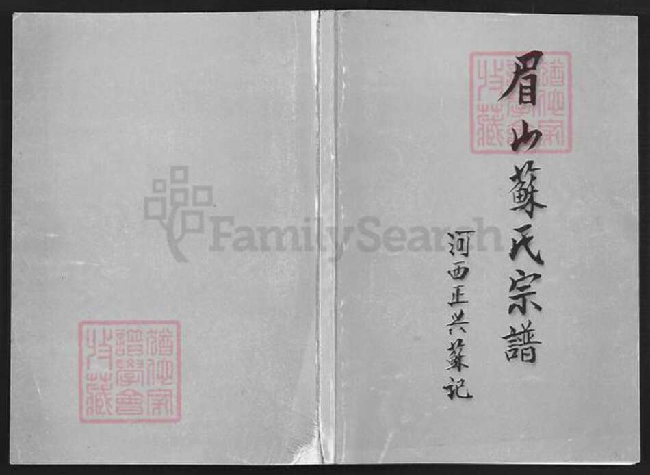 云南省玉溪市通海县河西镇苏氏族谱-眉山苏氏宗谱.pdf电子版缩略图