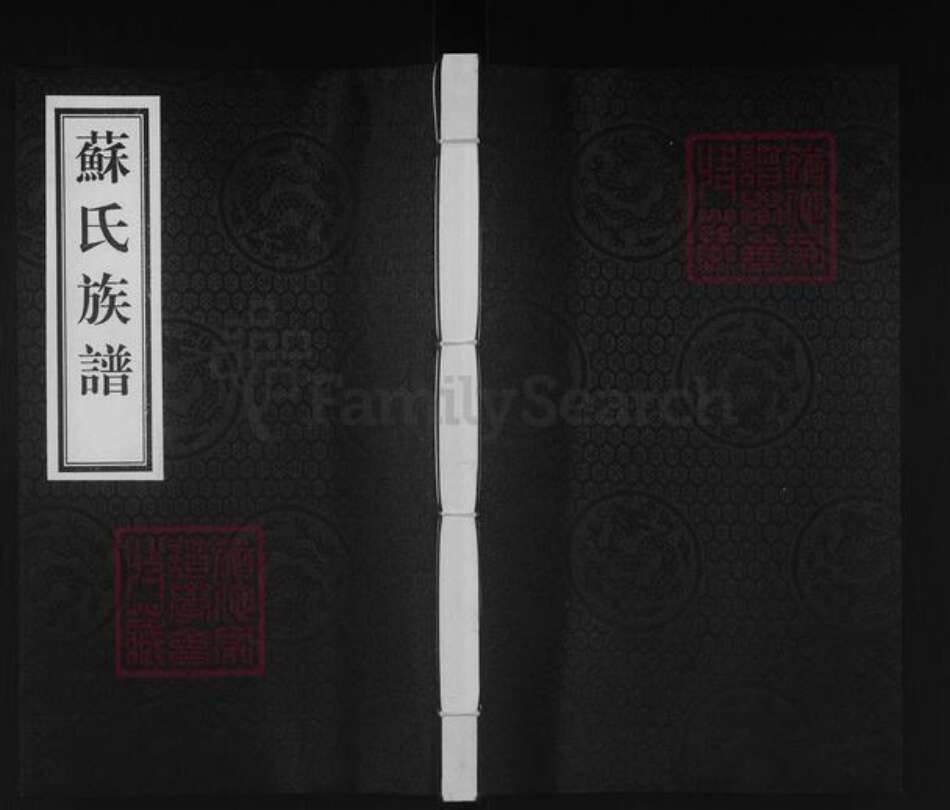 山东省德州市宁津县苏氏族谱-苏氏族谱.pdf电子版缩略图