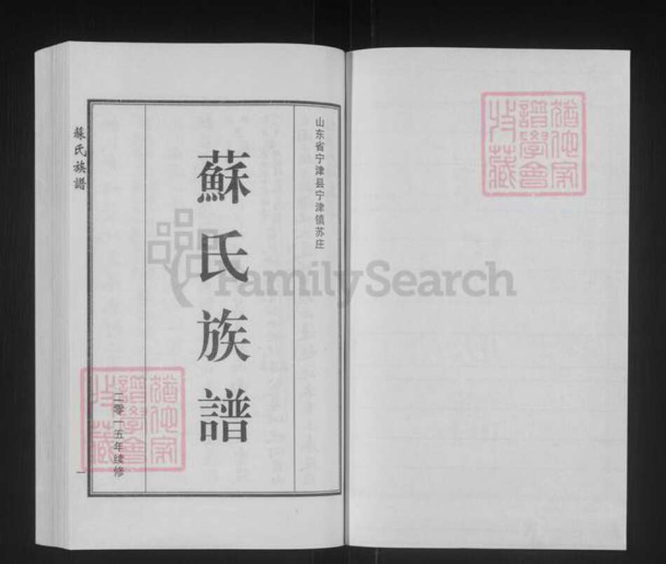 山东省德州市宁津县苏氏族谱-苏氏族谱.pdf电子版预览图1