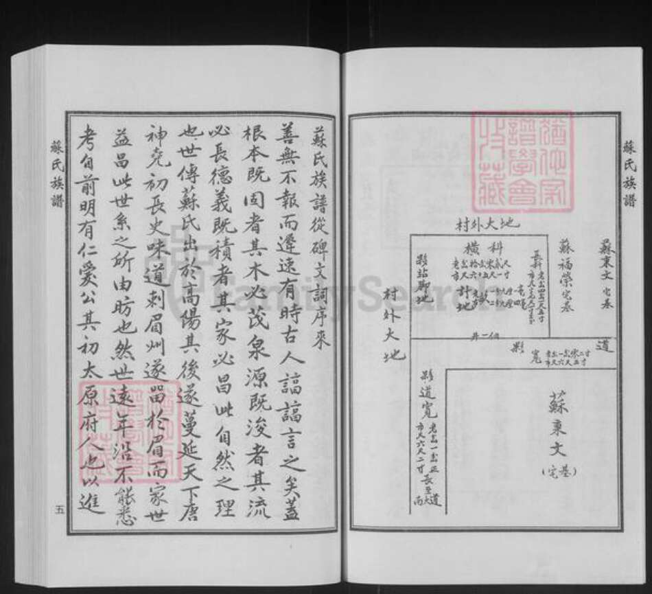 山东省德州市宁津县苏氏族谱-苏氏族谱.pdf电子版预览图5