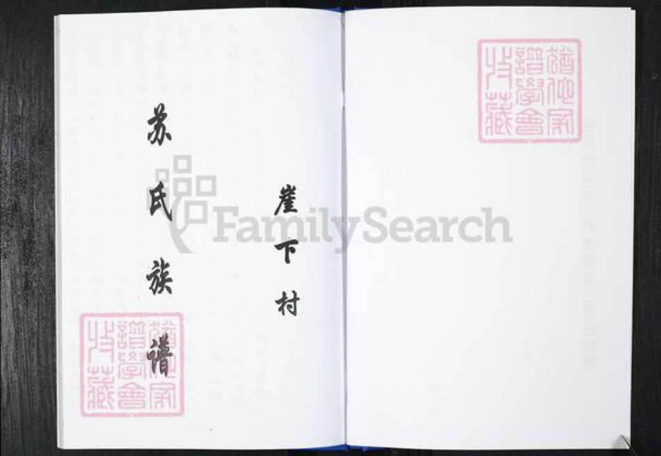 山东省青岛市崂山区苏氏族谱-王哥庄社区苏氏族谱.pdf电子版预览图2