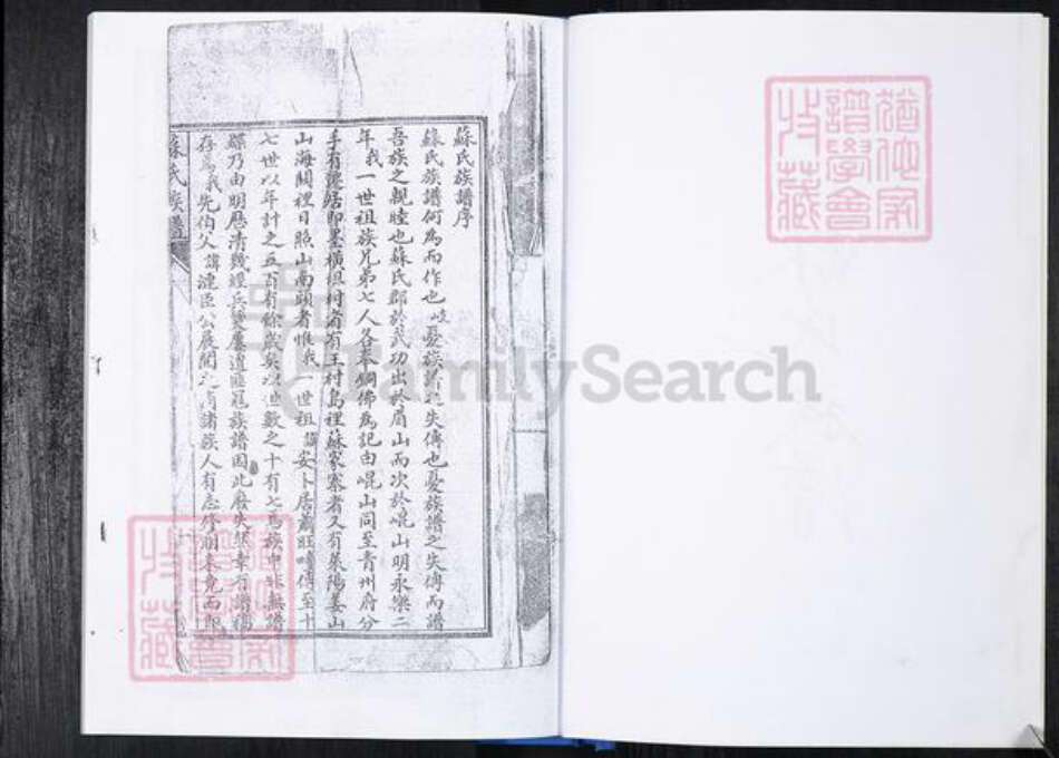 山东省青岛市崂山区苏氏族谱-曲家庄社区苏氏族谱.pdf电子版预览图2