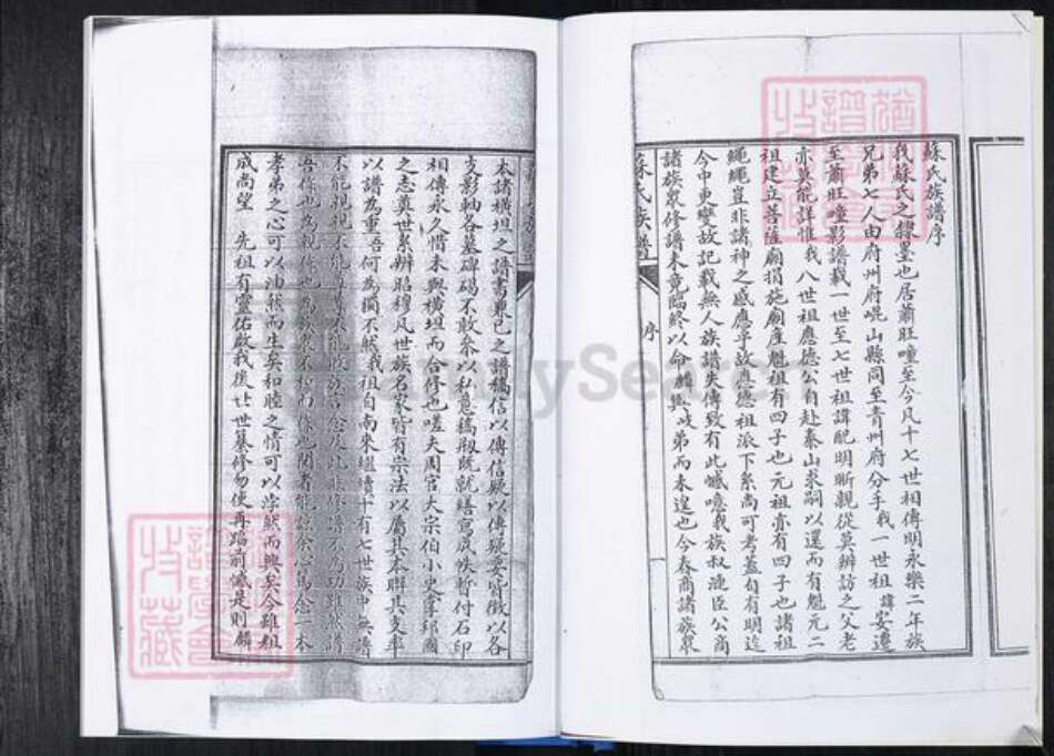 山东省青岛市崂山区苏氏族谱-曲家庄社区苏氏族谱.pdf电子版预览图4