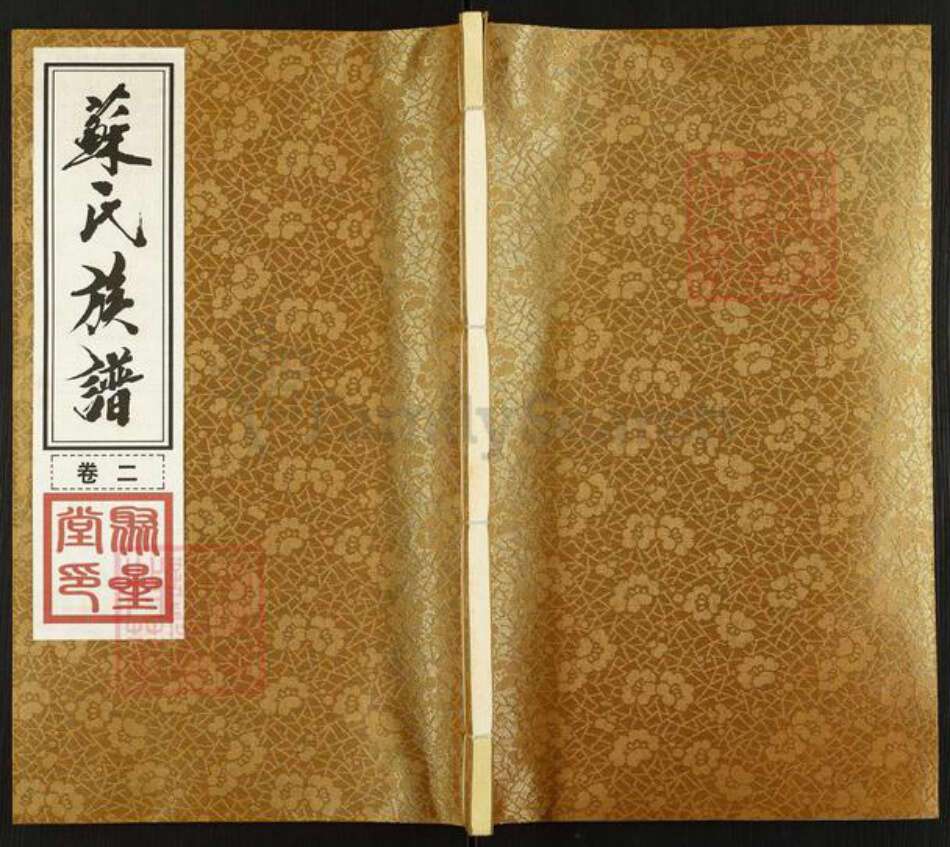 江苏省常州市苏氏聚星堂族谱-苏氏族谱后塘派.pdf电子版缩略图