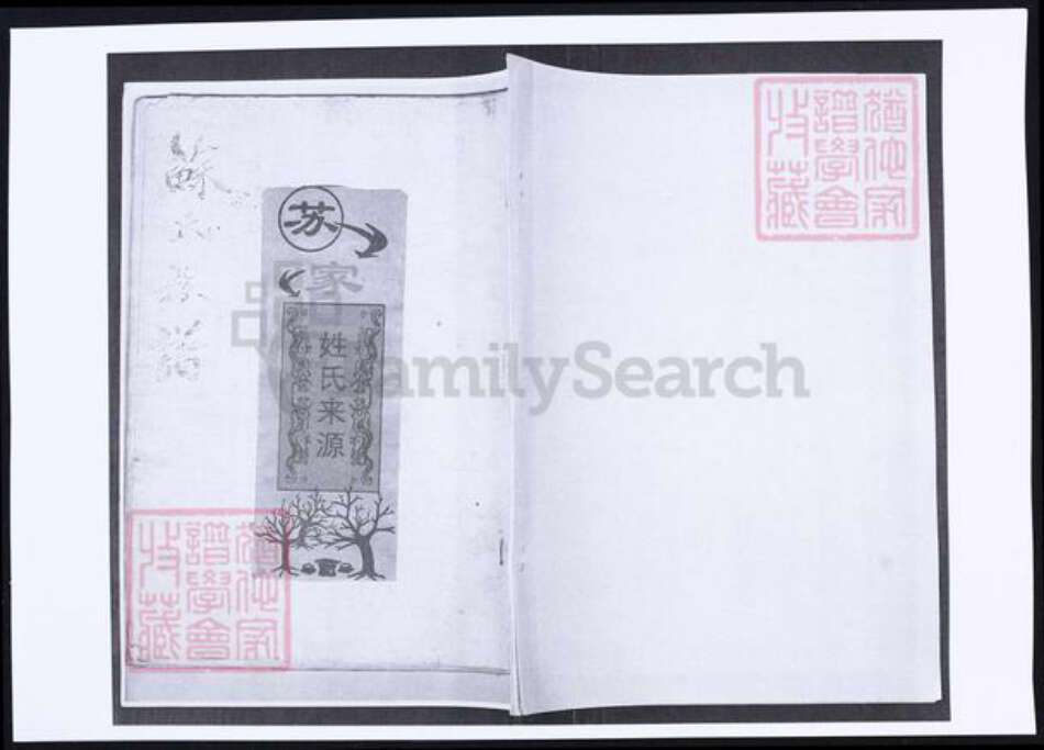 山东省青岛市即墨区苏氏族谱-苏氏族谱.pdf电子版缩略图