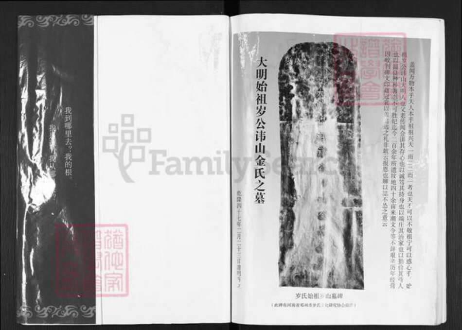 江苏省宿迁市沭阳县岁氏族谱-岁氏家谱.pdf电子版预览图1