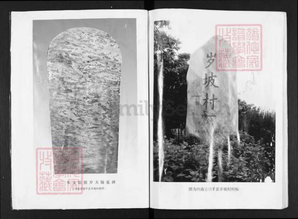江苏省宿迁市沭阳县岁氏族谱-岁氏家谱.pdf电子版预览图2