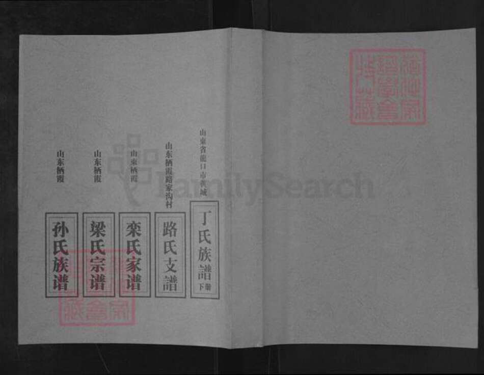 山东省烟台市栖霞市孙氏族谱-西杏山村孙氏族谱.pdf电子版缩略图