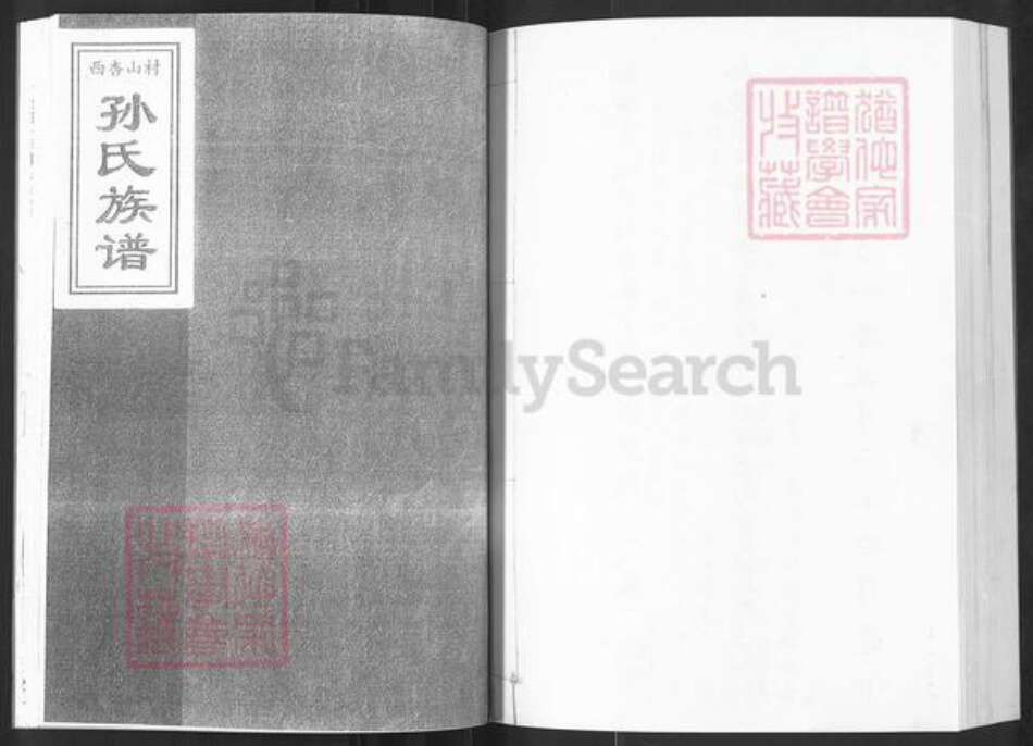 山东省烟台市栖霞市孙氏族谱-西杏山村孙氏族谱.pdf电子版预览图1