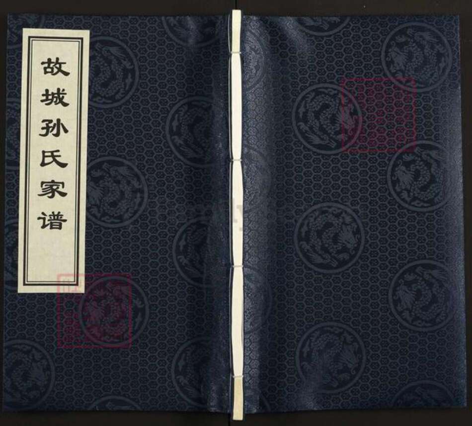 河北省衡水市故城县郑口镇孙氏族谱-故城孙氏家谱.pdf电子版缩略图