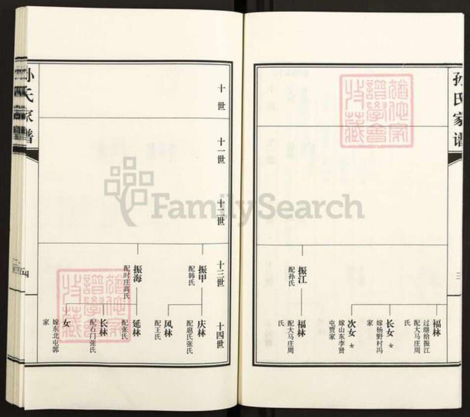 河北省衡水市故城县郑口镇孙氏族谱-故城孙氏家谱.pdf电子版预览图4