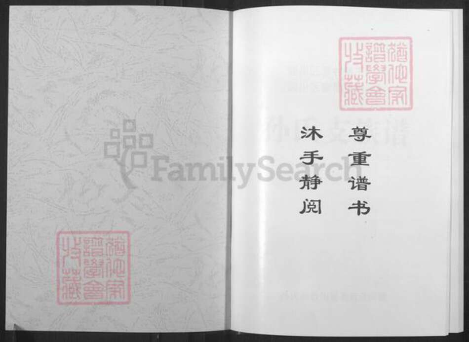 山东省淄博市淄川区孙氏族谱-淄川孙氏支族谱.pdf电子版预览图1