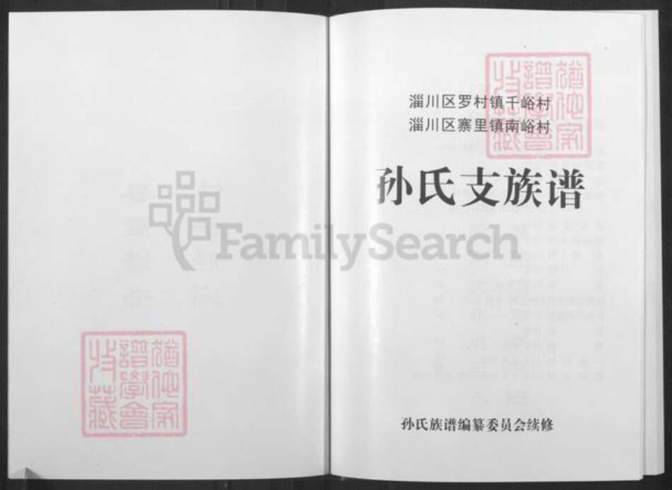 山东省淄博市淄川区孙氏族谱-淄川孙氏支族谱.pdf电子版预览图2