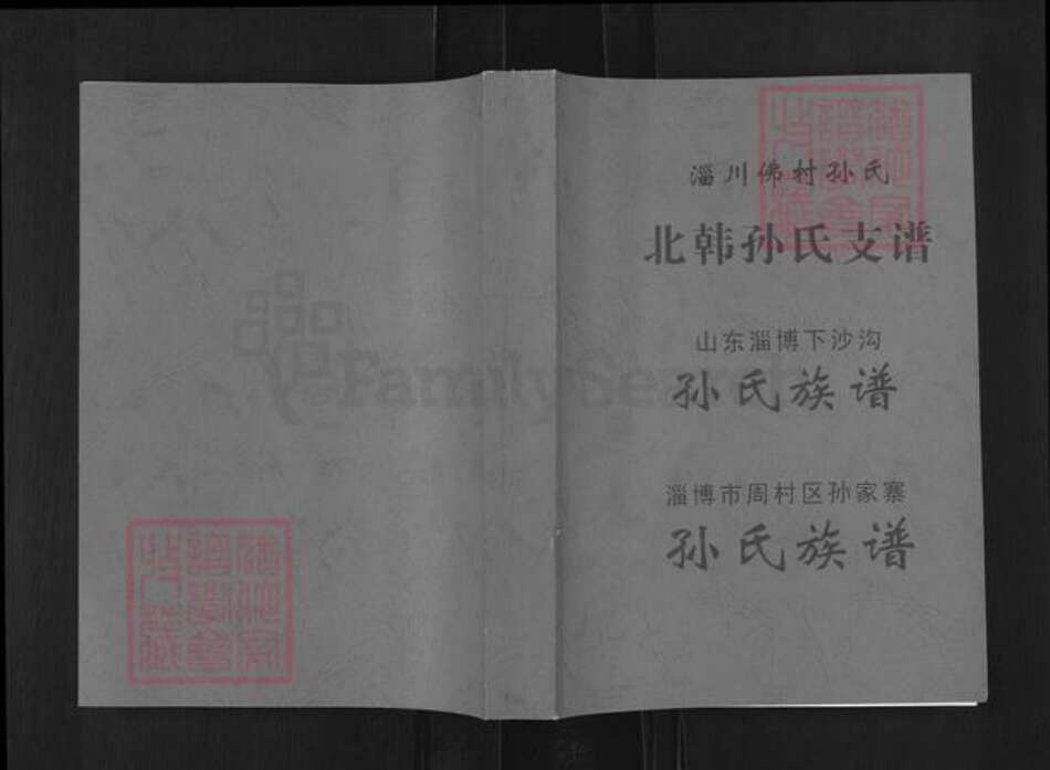 山东省淄博市淄川区孙氏族谱-北韩孙氏支谱.pdf电子版缩略图