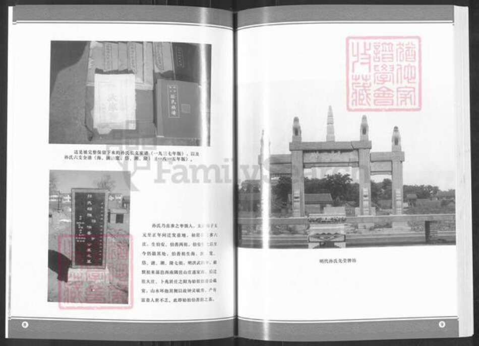 山东省淄博市淄川区孙氏族谱-般阳孙氏道口村孙氏支谱.pdf电子版预览图5