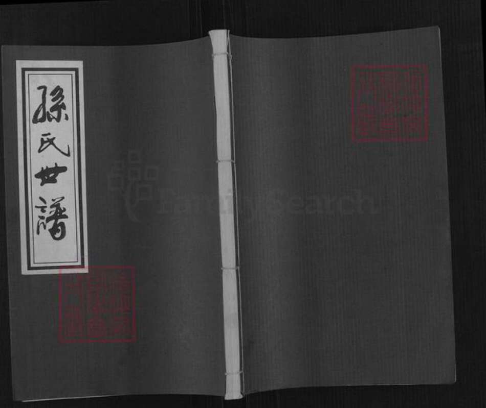 山东省滨州市邹平市长山镇孙氏六和堂族谱-孙氏世谱.pdf电子版缩略图