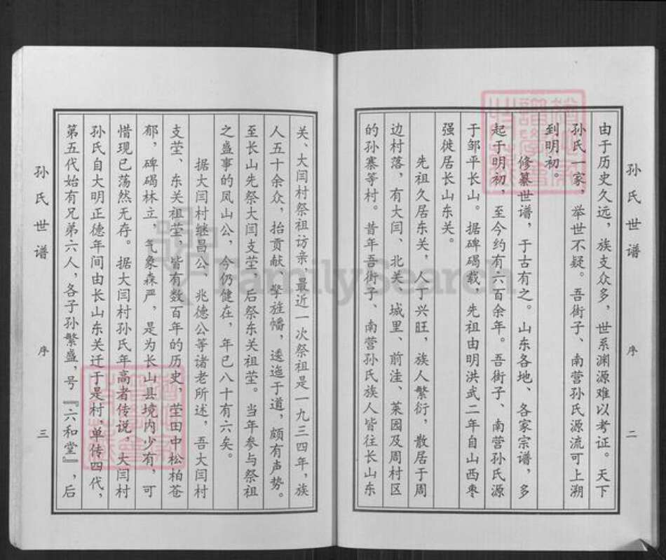 山东省滨州市邹平市长山镇孙氏六和堂族谱-孙氏世谱.pdf电子版预览图4