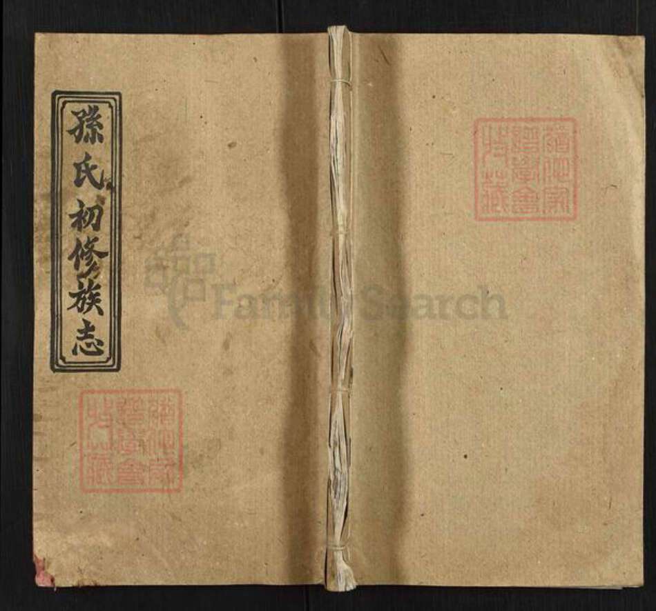 湖南省孙氏敦伦堂族谱-孙氏初修族志.pdf电子版缩略图