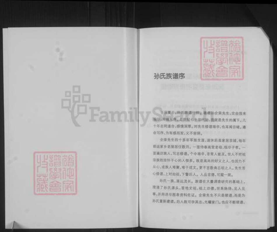 山西省运城市绛县陈村镇孙氏族谱-孙氏族谱.pdf电子版预览图3