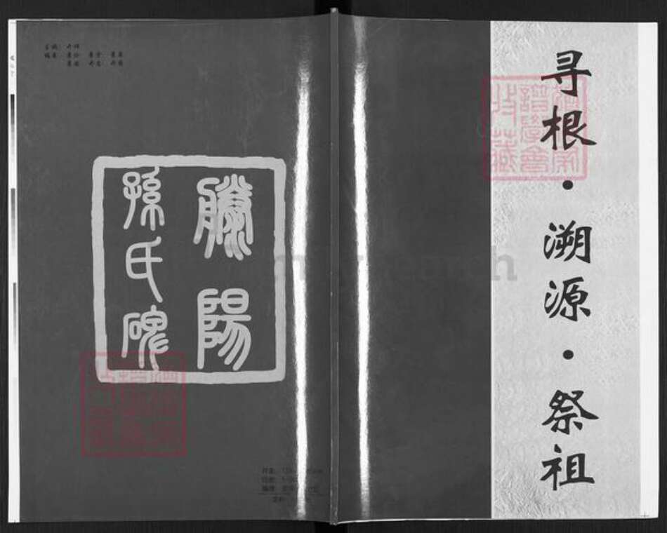 山东省枣庄市滕州市孙氏族谱-滕阳孙氏谱.pdf电子版缩略图