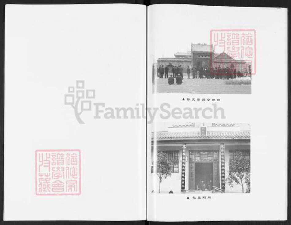 山东省枣庄市滕州市孙氏族谱-滕阳孙氏谱.pdf电子版预览图3