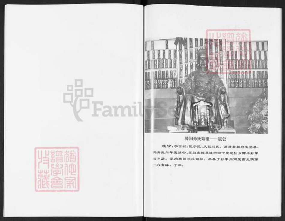 山东省枣庄市滕州市孙氏族谱-滕阳孙氏谱.pdf电子版预览图4