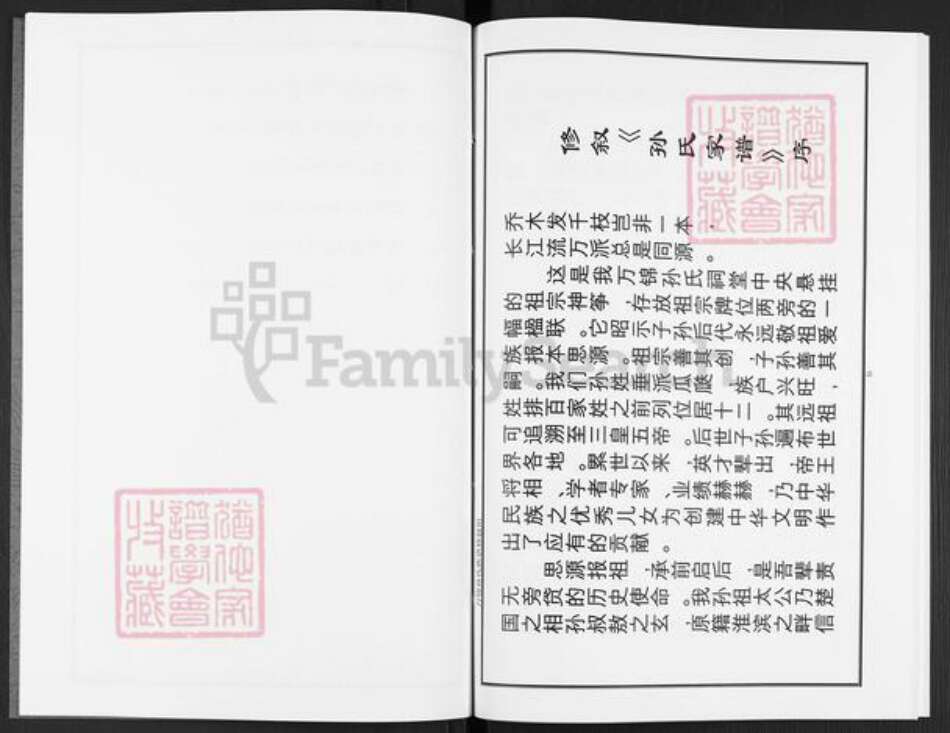 河南省三门峡市陕州区张湾乡孙氏族谱-孙氏族谱.pdf电子版预览图5