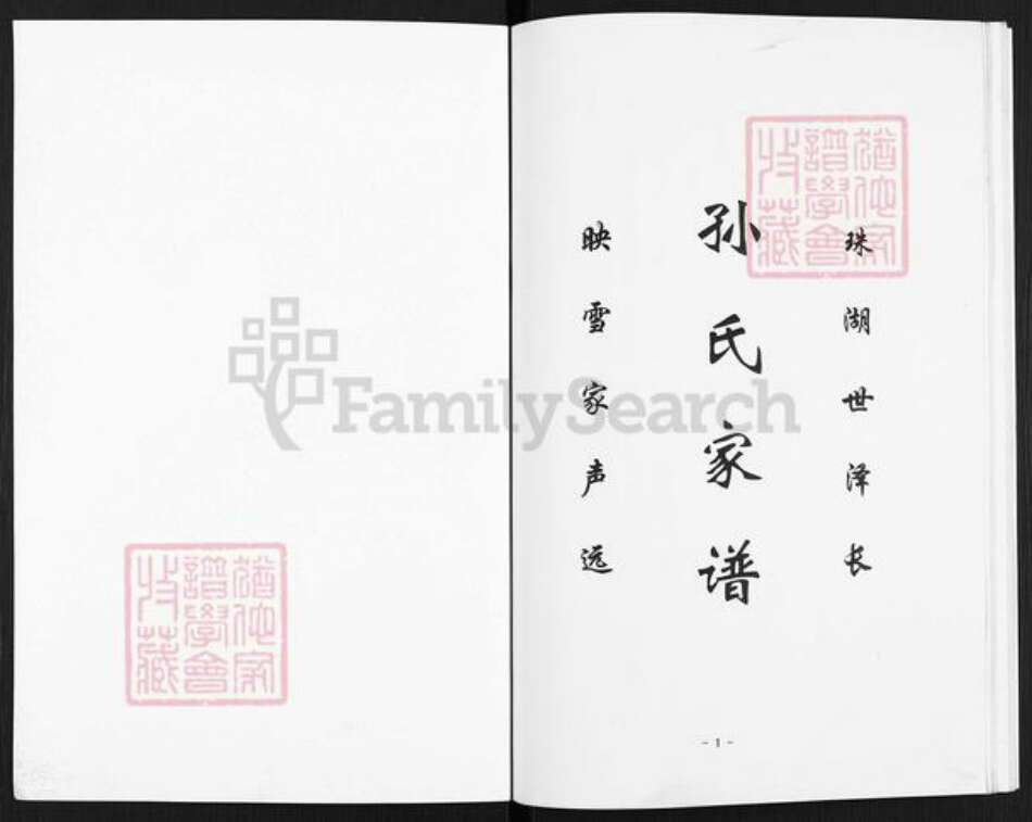 江西省上饶市鄱阳县珠湖乡孙氏映雪堂族谱-孙氏家谱.pdf电子版预览图1