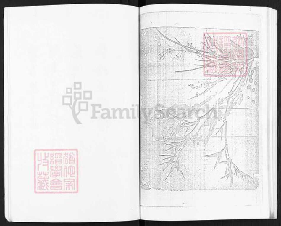 江苏省淮安市淮安区孙氏族谱-孙氏百年史记.pdf电子版预览图5