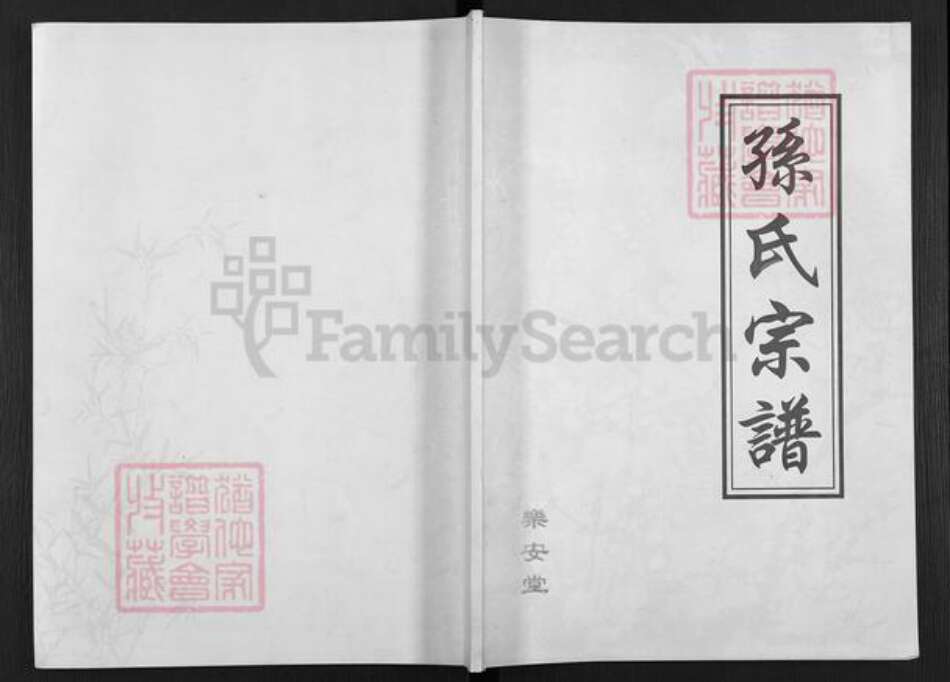 江苏省盐城市亭湖区孙氏乐安堂族谱-孙氏宗谱.pdf电子版缩略图