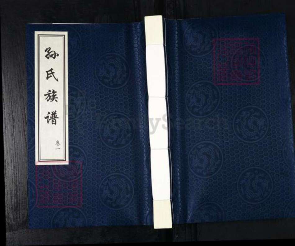 山东省德州市乐陵市铁营镇孙氏族谱-孙氏族谱.pdf电子版缩略图