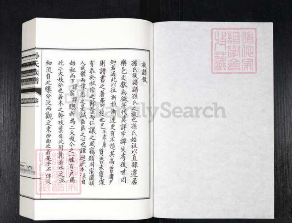 山东省德州市乐陵市铁营镇孙氏族谱-孙氏族谱.pdf电子版预览图1