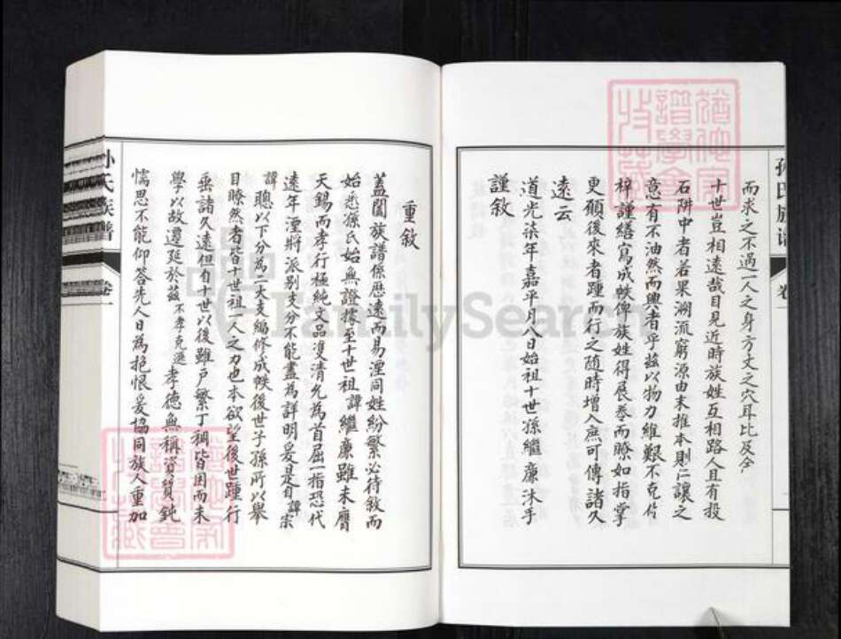 山东省德州市乐陵市铁营镇孙氏族谱-孙氏族谱.pdf电子版预览图2