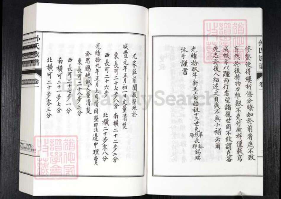 山东省德州市乐陵市铁营镇孙氏族谱-孙氏族谱.pdf电子版预览图3