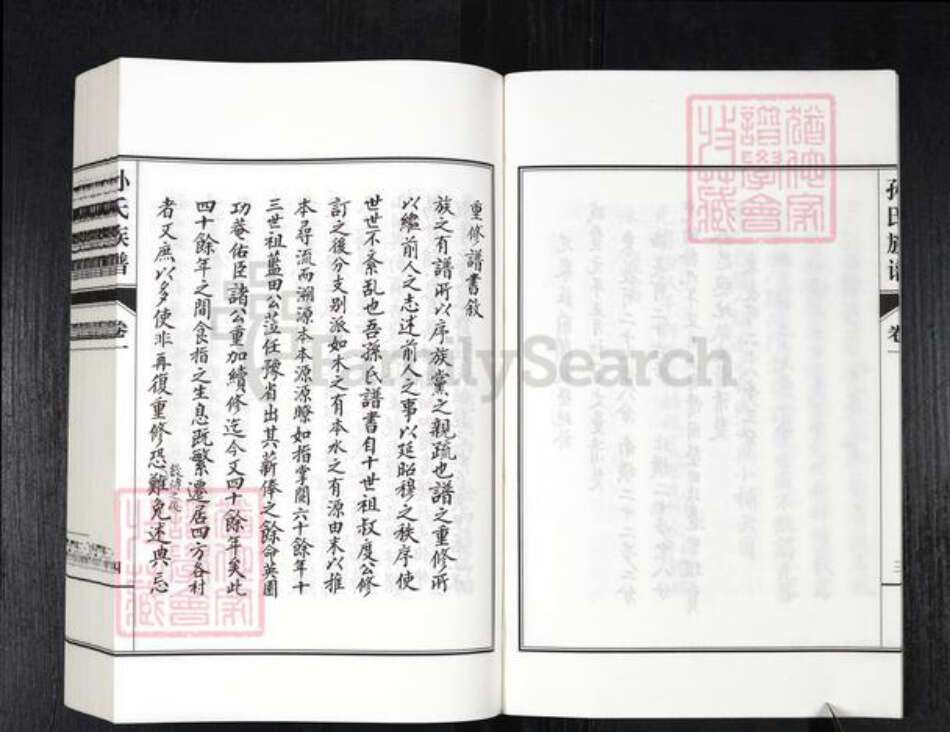 山东省德州市乐陵市铁营镇孙氏族谱-孙氏族谱.pdf电子版预览图4