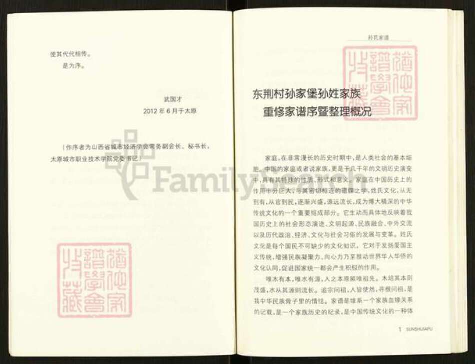 山西省运城市绛县陈村镇孙氏族谱-孙氏族谱.pdf电子版预览图4