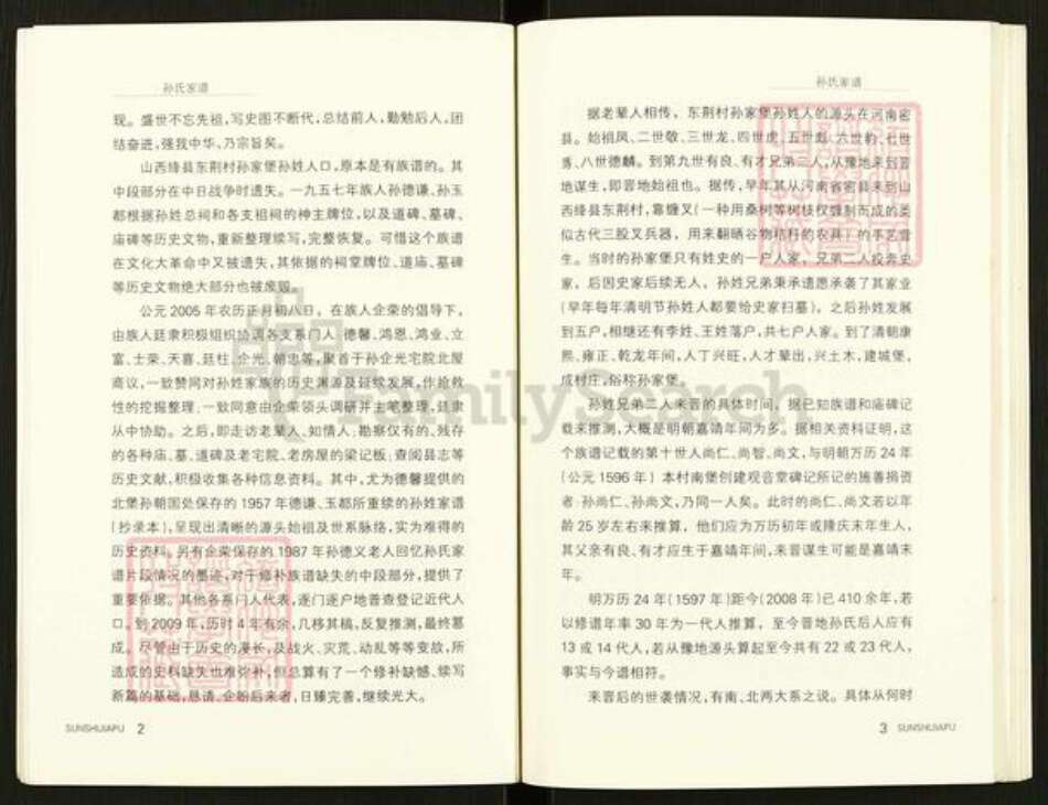 山西省运城市绛县陈村镇孙氏族谱-孙氏族谱.pdf电子版预览图5