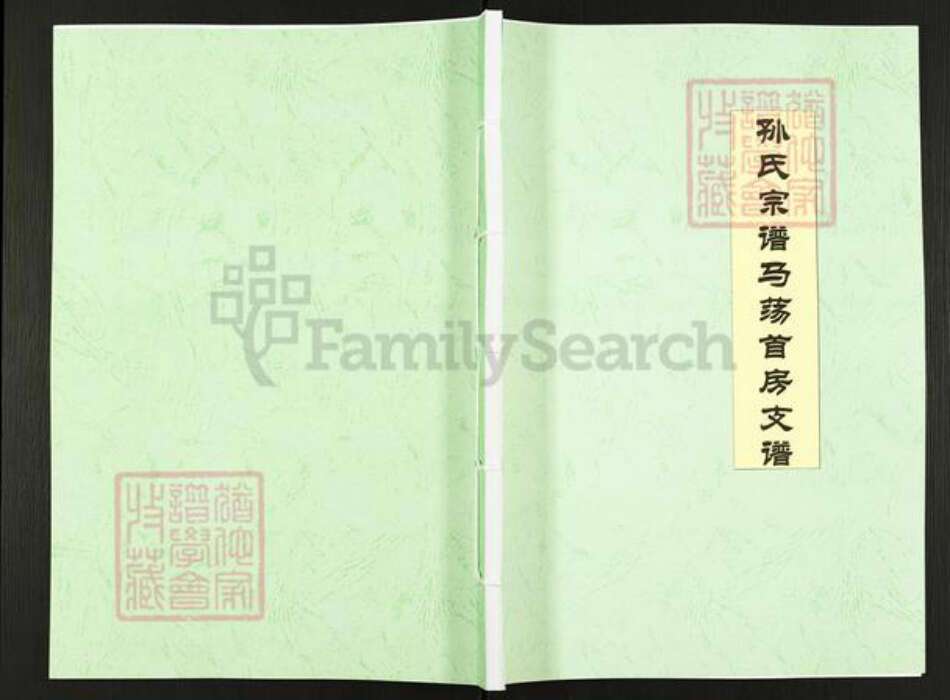 江苏省盐城市阜宁县孙氏映雪堂族谱-孙氏宗谱马荡首房支谱.pdf电子版缩略图