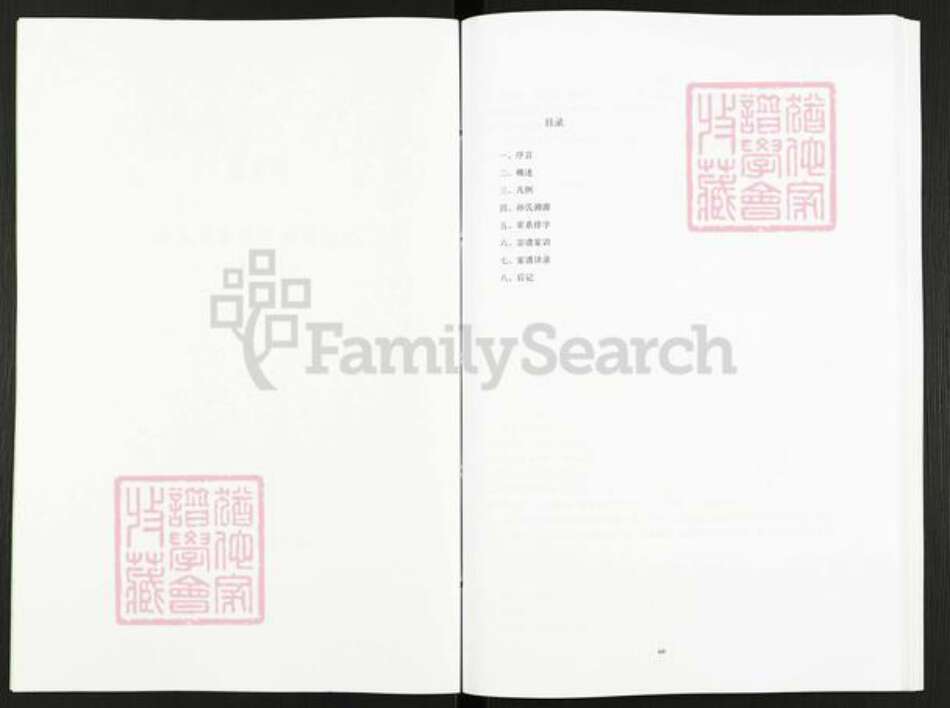 江苏省盐城市阜宁县孙氏映雪堂族谱-孙氏宗谱马荡首房支谱.pdf电子版预览图2