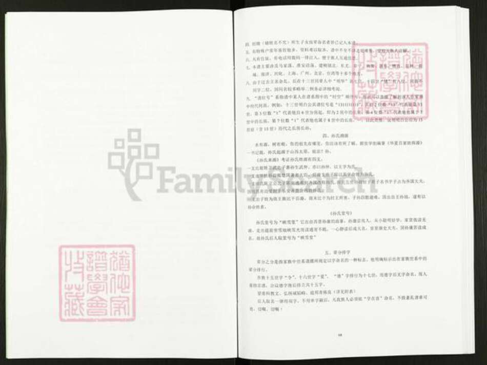 江苏省盐城市阜宁县孙氏映雪堂族谱-孙氏宗谱马荡首房支谱.pdf电子版预览图4