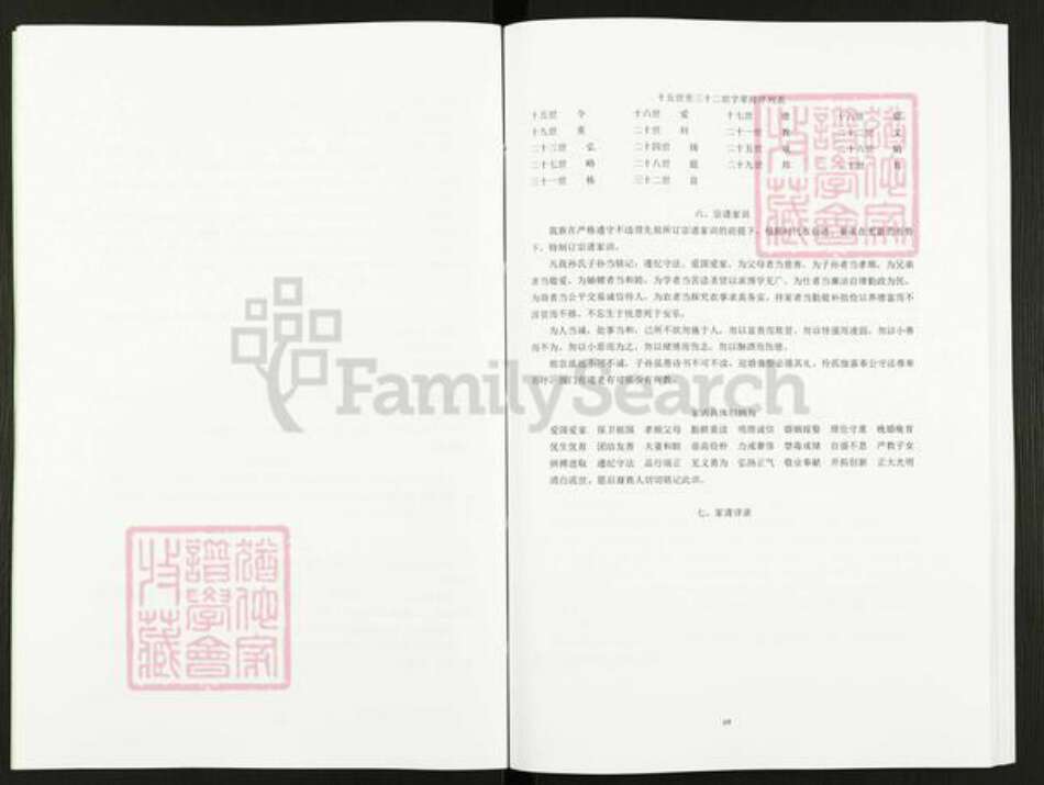 江苏省盐城市阜宁县孙氏映雪堂族谱-孙氏宗谱马荡首房支谱.pdf电子版预览图5
