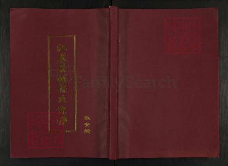 江苏省盐城市亭湖区孙氏乐安堂族谱-江苏盐城孙氏宗谱.pdf电子版缩略图