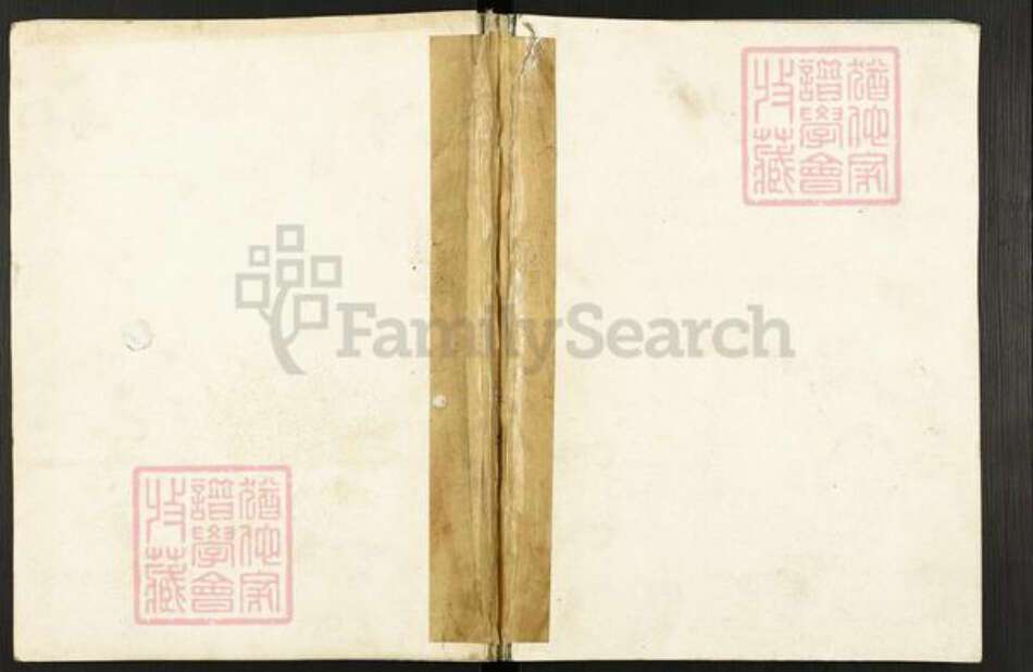 河南省郑州市新郑市孙氏族谱-孙氏家谱.pdf电子版缩略图