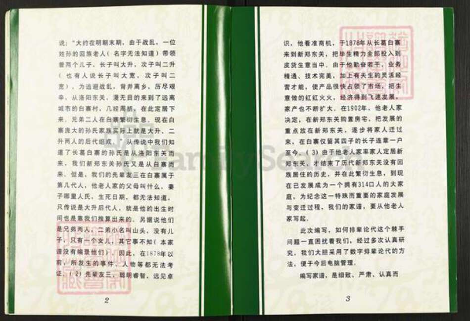 河南省郑州市新郑市孙氏族谱-孙氏家谱.pdf电子版预览图5