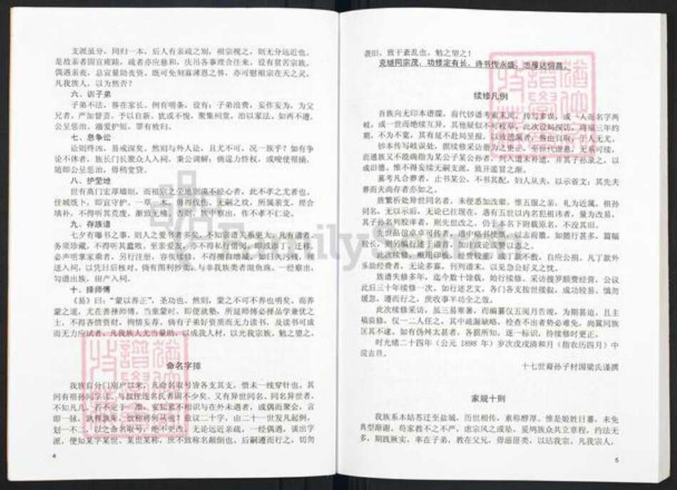 江苏省盐城市盐都区郭猛镇孙氏乐安堂族谱-重印迁盐孙氏宗谱.pdf电子版预览图5