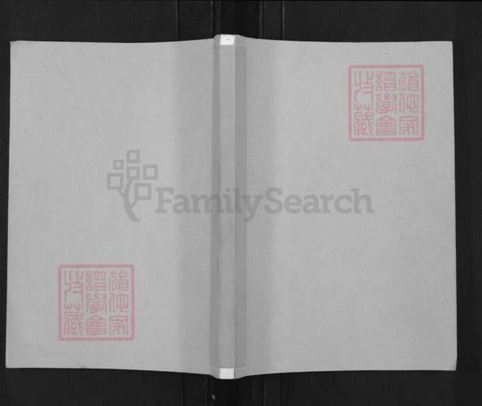 江苏省盐城市亭湖区孙氏乐安堂族谱-孙氏宗谱.pdf电子版缩略图