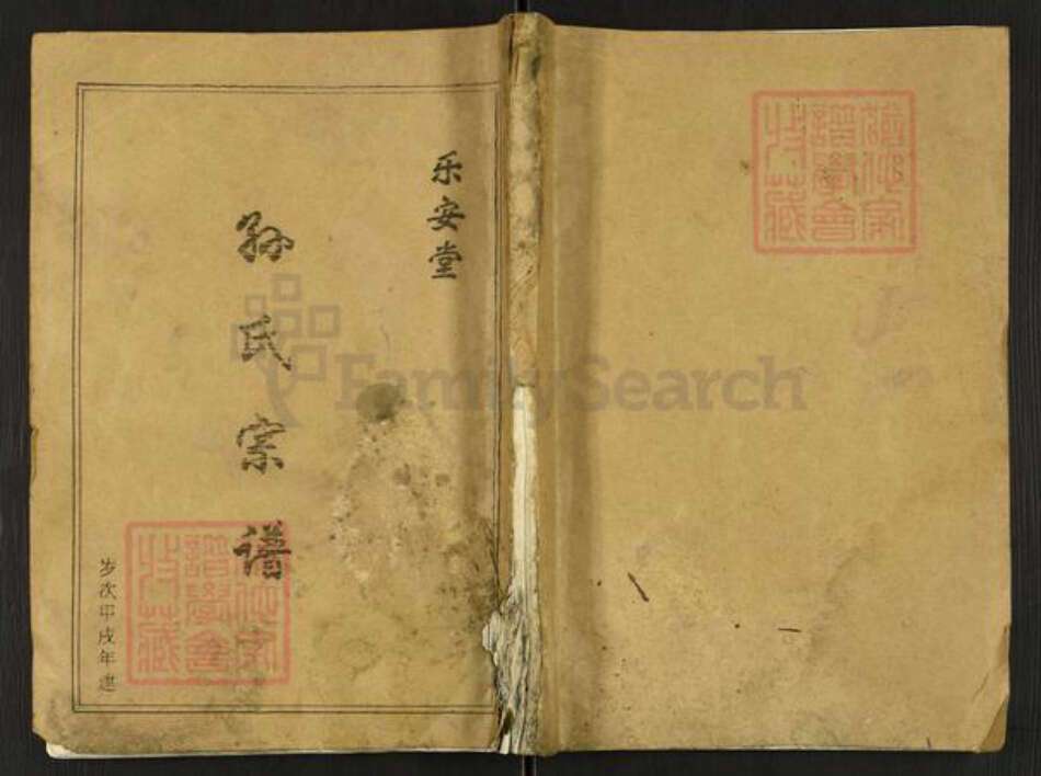 江苏省盐城市亭湖区新兴镇孙氏乐安堂族谱-孙氏宗谱.pdf电子版缩略图