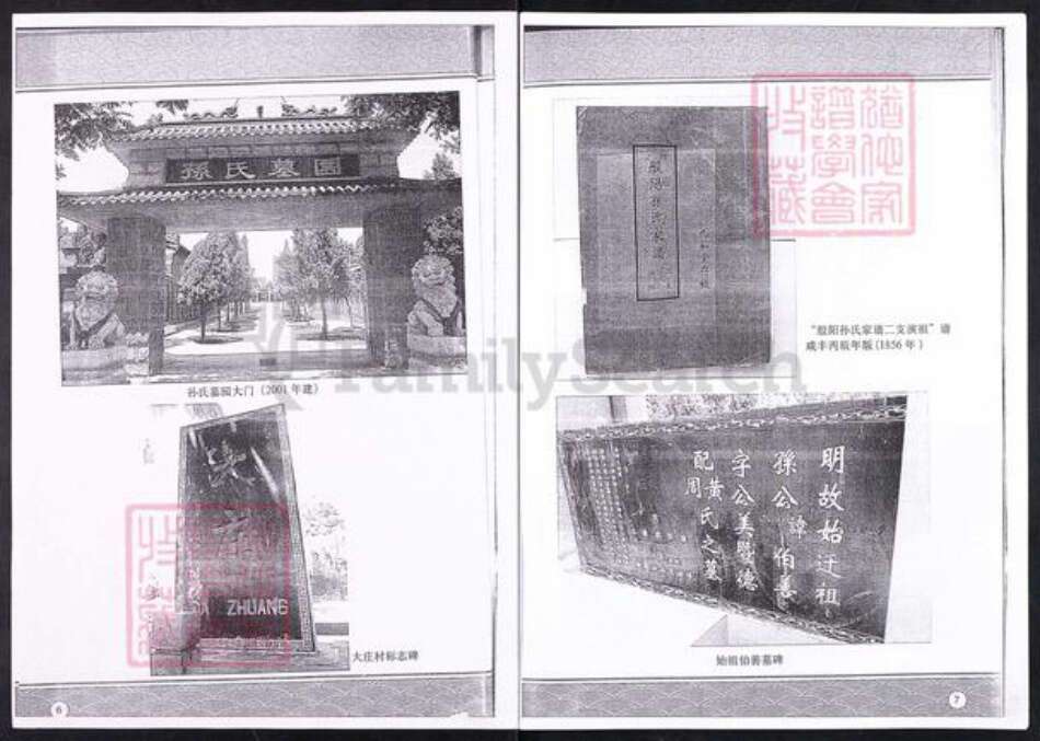 山东省淄博市博山区孙氏九如堂族谱-般阳孙氏大庄二支分谱(演祖).pdf电子版预览图3